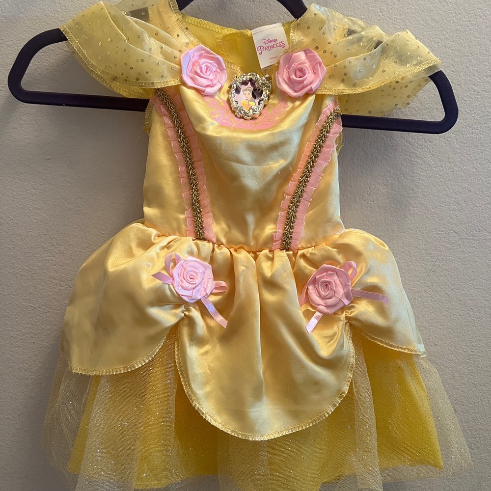 Disney Princess Belle Halloween Costume